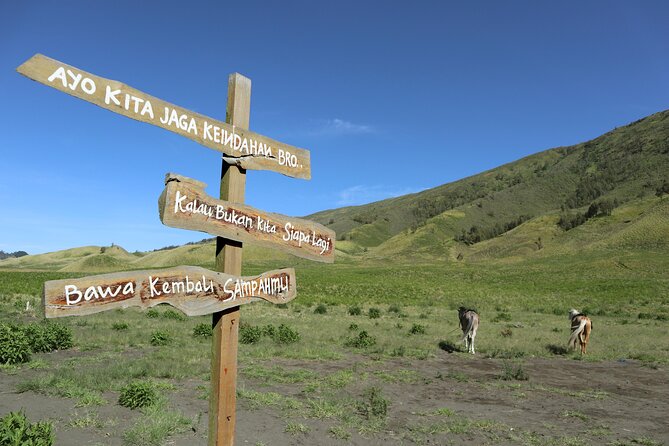 1 Day - Bromo Afternoon Siesta Tour start MALANG or SURABAYA // 11:00 - 18:00 - Why This 11:00 am Bromo Tour Feels Smarter