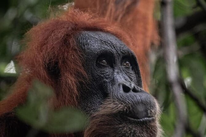 1 Day Ethical Jungle Trekking - Key Highlights You Will Actually Feel