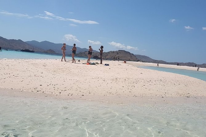 1- day Komodo island Tour hopping around by Speed Boat - Komodo Island Trek: Following the Ranger for Real Dragon Time