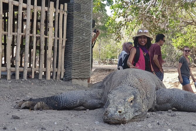 1- day Komodo island Tour hopping around by Speed Boat - Padar Island Viewpoint: The Climb That Powers Your Photos