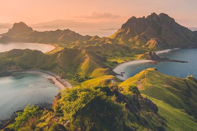 1 Day Komodo Trip by Private Fast Boat - Manta Point snorkeling: the best moment can be quick