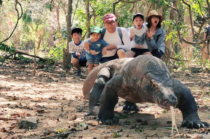 1 Day Komodo Trip By Share Fast Boat - Komodo Island trekking for dragons: what the hike is really like