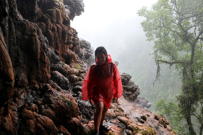 1 Day - ULTIMATE TOUR Tumpak Sewu Waterfall and Goa Tetes cave // 07:30 - 17:30 - Price and Value: What $51.95 Includes, and How to Decide if It Fits You