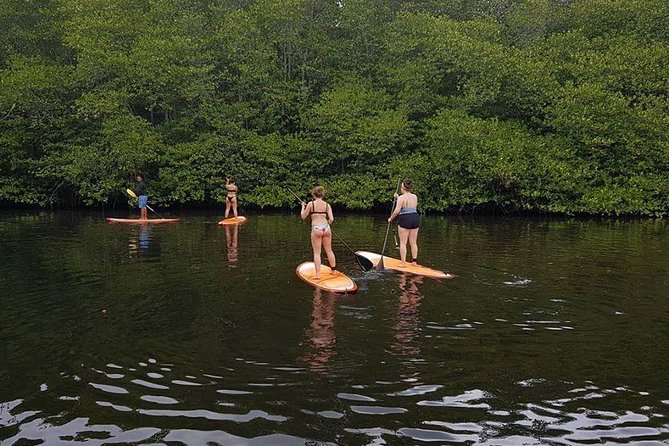 1 Hour Mangrove Tour From Lembongan with Kayak, Paddle, or Boat - Kayak vs SUP on mangroves, what changes for you