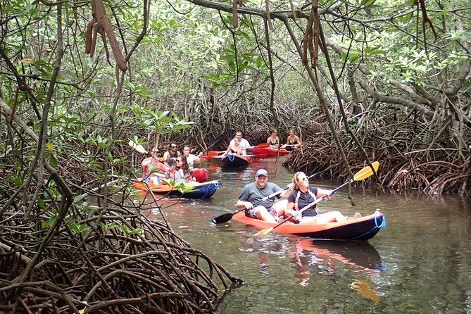 1 Hour Mangrove Tour From Lembongan with Kayak, Paddle, or Boat - Guides, wildlife spotting, and photo moments