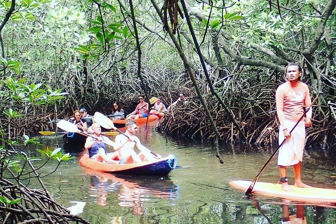 1 Hour Mangrove Tour From Lembongan with Kayak, Paddle, or Boat - The 60-minute plan: gear up, paddle in, and head back