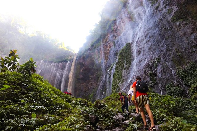 1Day - Tumpak Sewu Waterfall and Goa Tetes Cave Trekking - Key things worth knowing before you go