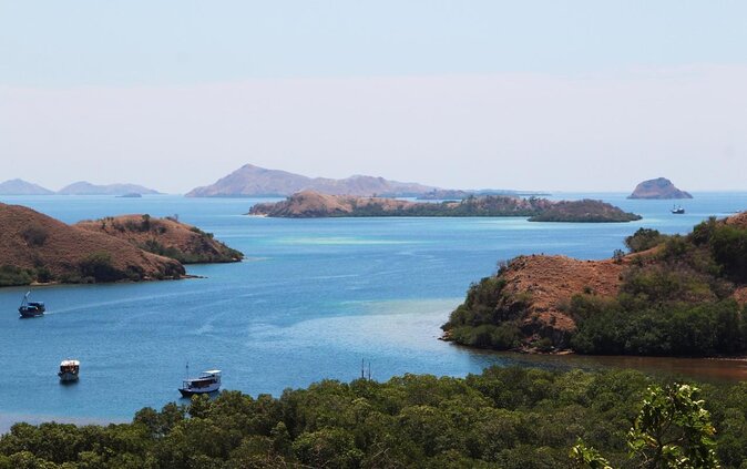 2-Day Komodo National Park and Rinca Island Wildlife Adventure from Bali - Key things that make this Komodo and Rinca tour worth your attention