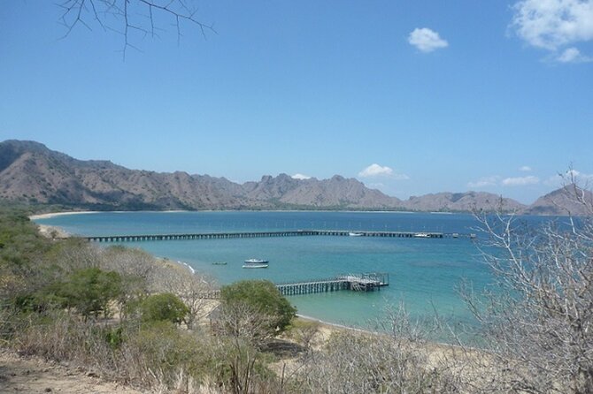 2-Day Komodo National Park and Rinca Island Wildlife Adventure from Bali - Pink Beach snorkeling: the break from lizard stalking