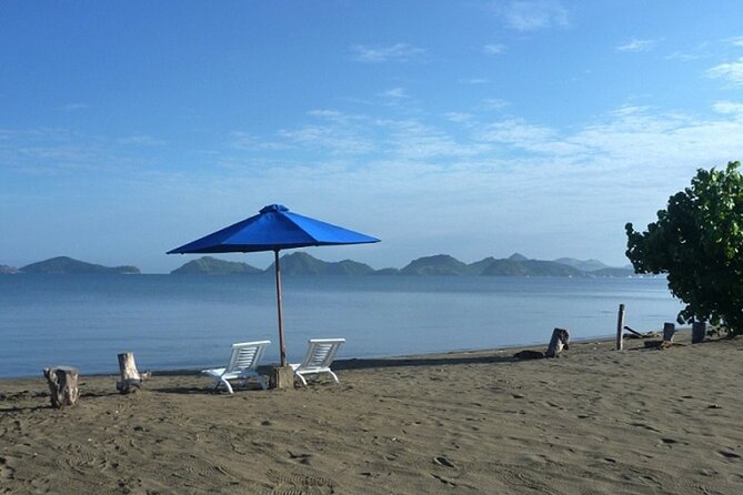 2-Day Komodo National Park and Rinca Island Wildlife Adventure from Bali - Day 2: return to Bali, with the snorkeling wrap-up