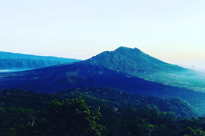 2-Day Private Sightseeing Tour of Bali with Hotel Pickup - Tegalalang rice terrace: the classic view, done with included entry time