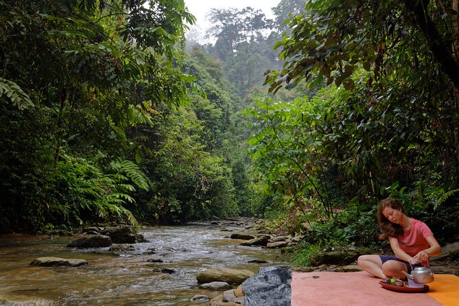 2 Days 1 Night Ethical Jungle Trekking - Price and value: what you really get for $207.79
