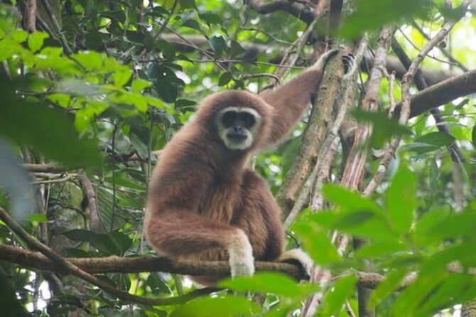 2 Days 1 Night Ethical Jungle Trekking - Day 1: stepping into Gunung Leuser from Bukit Lawang