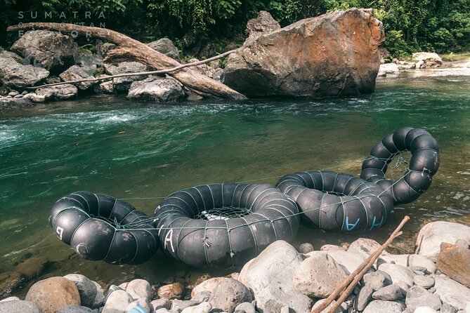 2 Days and 1 Night Ethical Jungle Trek - Guides make or break the jungle