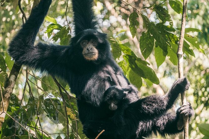 2 Days and 1 Night Ethical Jungle Trek - Price and value: what $146.62 buys you