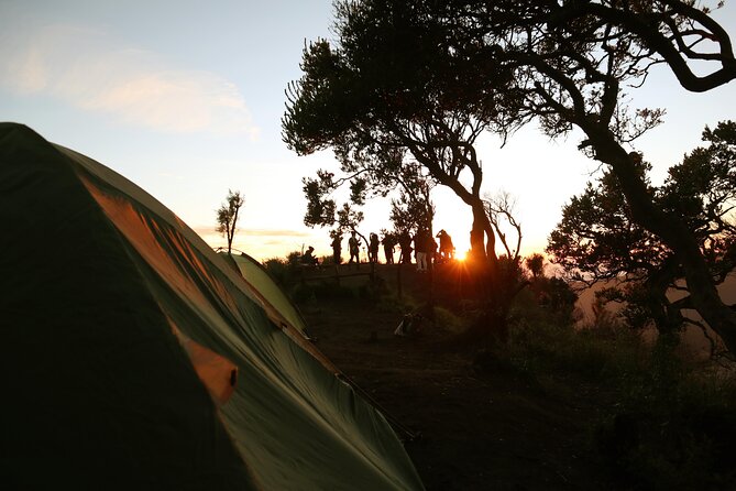 2 Days - Bromo Camping // 14.00 - 13.00 - Malang pickup and the late-afternoon drive into the park