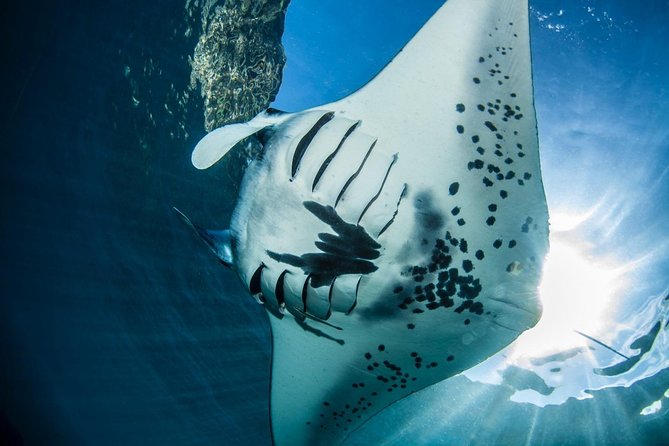 2 Days Discover Scuba Diving in Nusa Lembongan - Scuba Initiation - Why Nusa Lembongan is a smart base for first-time scuba skills