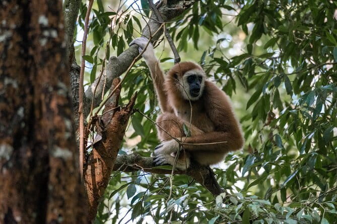 2 Days Ethical Jungle Trek in Sumatra - Your 9:00 am start in Bukit Lawang, and the logistics that affect your trip