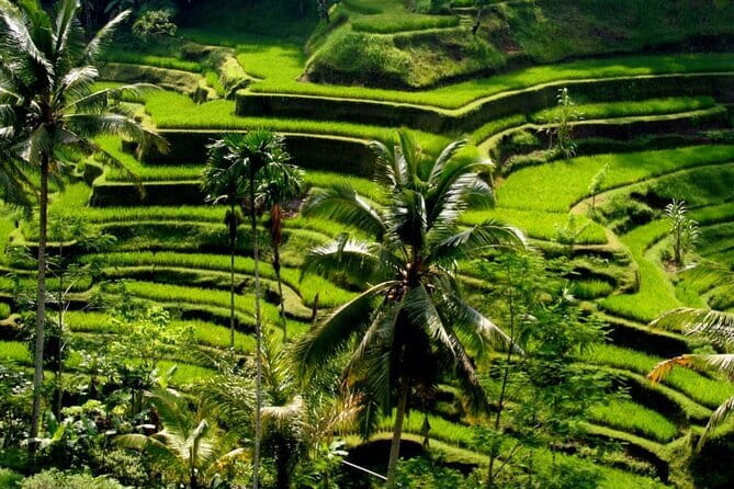 2 Days Mount Batur Sunrise Trekking With Private Ubud Day Tour - Ubud Day 2: Highlights, Private Pace, Entrance Tickets Included