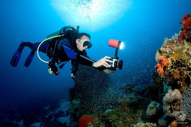 2 or 3 dives in Nusa Lembongan and Penida, for certified diver (in Lembongan) - Gear and comfort for certified divers