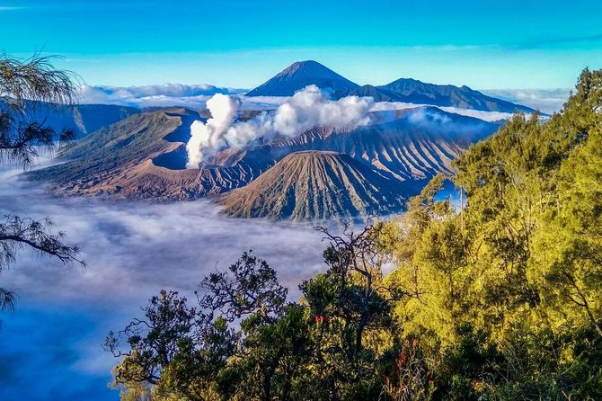 2Days - Bromo Sunrise Ijen Adventure via Malang - Seeing the blue flames: what the tour does for timing