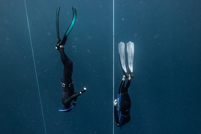 3-Day Freediving Level 1 Course - Underwater photos, certification, and included gear: the stuff that makes the course worth it