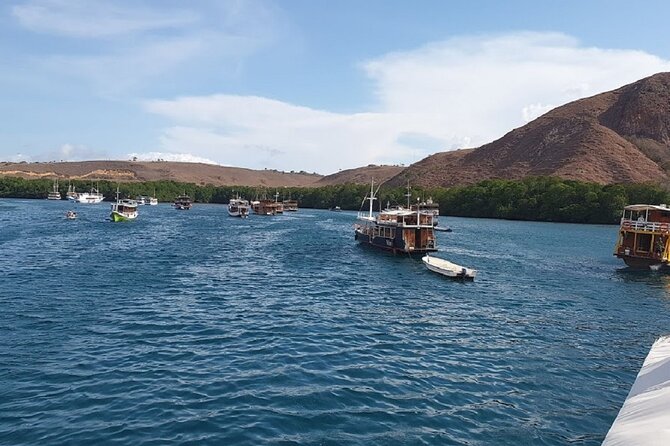 3-Day Komodo island Tour with or without Roundtrip Flight From Bali - Day 2: Padar trek, Komodo dragons again, manta snorkeling, Pink Beach, and the final island swim