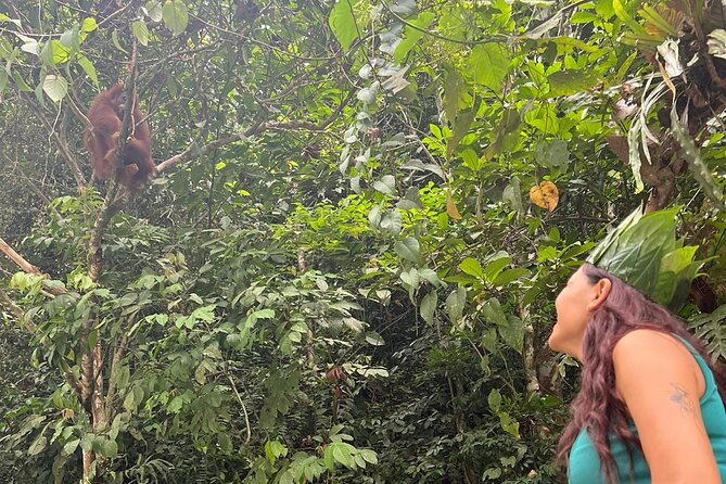 3 Days Orangutan Sumatra Jungle Trekking with Rafting - Your Guide Team and Why It Changes the Whole Trip