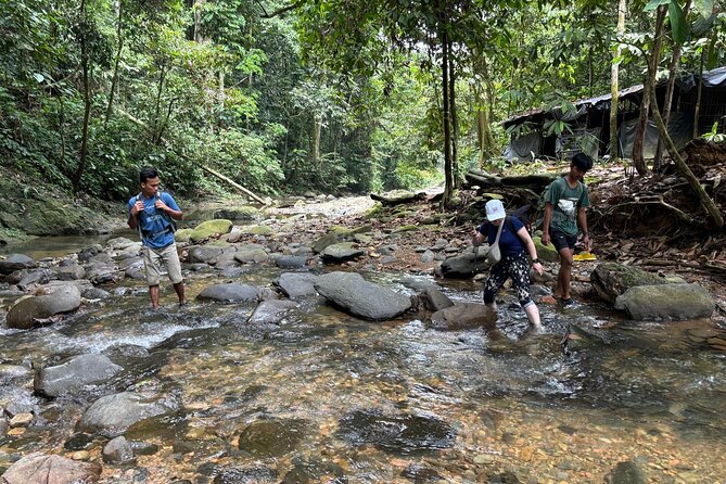 3 Days Orangutan Sumatra Jungle Trekking with Rafting - Food, Camps, and the Comfort Level You Can Expect