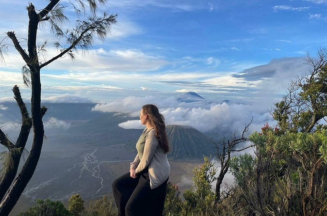 3 Days Private Tour in Bromo and Ijen from Surabaya - Who this Bromo and Ijen private tour is best for
