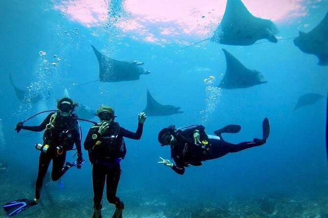 3 Epic Dives in Nusa Penida - Certified Divers' Day Trip - Key reasons this Nusa Penida day trip is worth your time