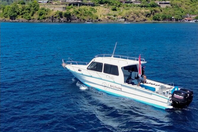 3 Epic Dives in Nusa Penida - Certified Divers' Day Trip - Certified-only means you get a more controlled plan