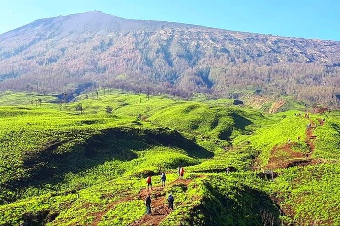 3D 2N Mount Rinjani Trekking Tour To Summit And Lake - Guides and porters: where the trip either feels smooth or rough