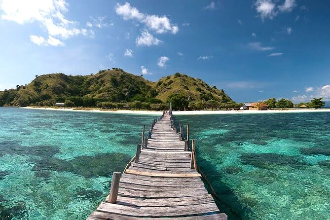 3D2N Sailing Komodo Living on Board Fiday to Sunday (Labuan Bajo) - The Big Watch-Outs: Dragon and Manta Reality Checks