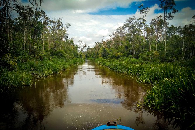 3ns Private Orangutan and Bornean Primates Kelotok Tour - How a private 4-day kelotok feels in real life