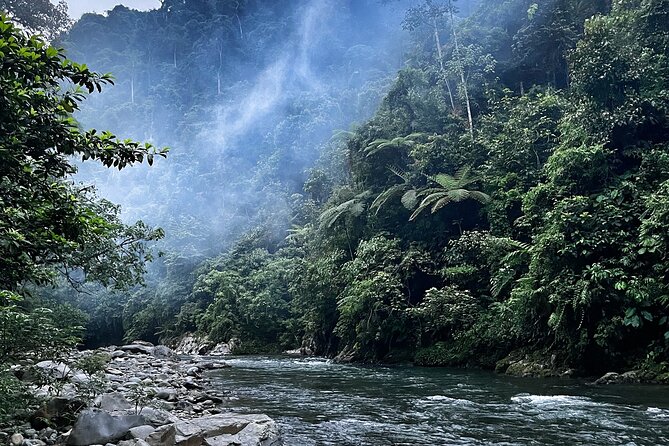 4 Day Jungle Adventure including 2 day trek - Gunung Leuser from Medan: where the wildlife odds actually improve