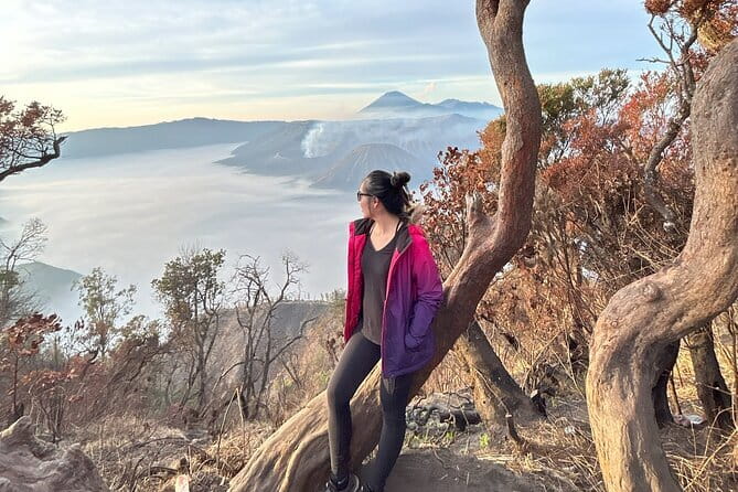 4 Days Bromo Ijen Tumpak Sewu from Surabaya Malang Banyuwangi - Malang’s color village versus tea plantation: pick the vibe you want