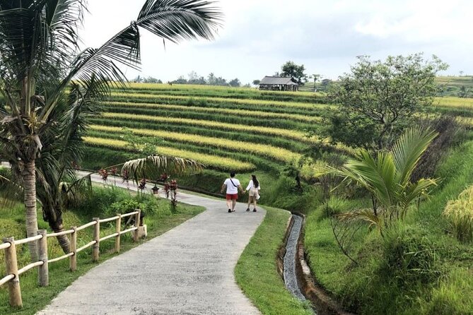 4-Hour Private Tour in Jatiluwih Terraces and Butterfly Park - Bali Butterfly Park: A Quiet Hour of Bright Wings