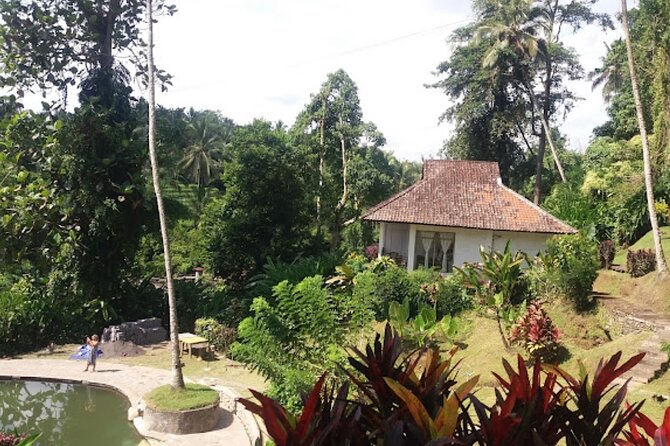 4-Hour Private Tour in Jatiluwih Terraces and Butterfly Park - Penatahan Hot Spring: A Reset in Bali Countryside