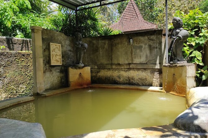 4-Hour Private Tour in Jatiluwih Terraces and Butterfly Park - Who This Tour Fits Best