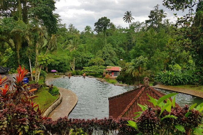 4-Hour Private Tour in Jatiluwih Terraces and Butterfly Park - Final Call: Should You Book This Private 4-Hour Bali Day?