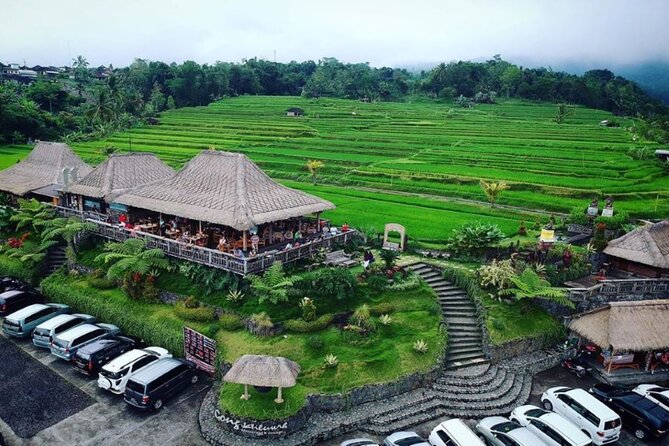 4-Hour Private Tour in Jatiluwih Terraces and Butterfly Park - Jatiluwih Green Land: UNESCO Terraces With Big-View Value