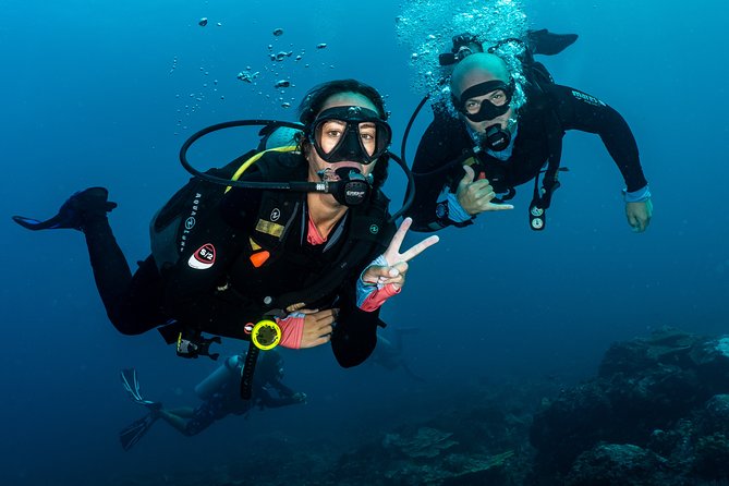 5 Fun Dives in Pemuteran (for certified divers) - Exploration in Menjangan Park - Who this is best for, and who should skip it