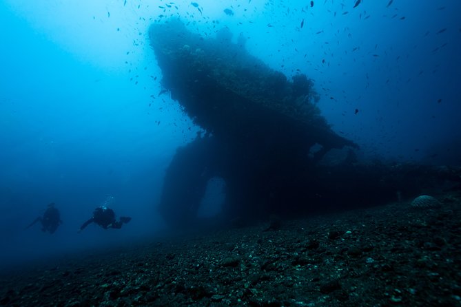 5 Fun Dives in Tulamben (for certified divers) - Discover famous diving sites - Tulamben works because the underwater route is built for real sightings