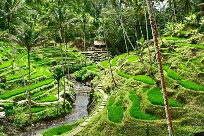 6 Days Best Of Bali And Nusa Penida All Inclusive Private Tour - Day 2 to Nusa Penida: Kelingking, Broken Beach, Angel’s Billabong, and Crystal Bay