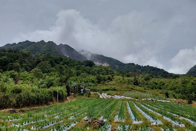 7 Days 6 Nights North Sumatra Tour (Bukit Lawang-Berastagi-Lake Toba) - Sipiso Piso waterfall to Lake Toba: from jungle to big water