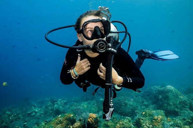 7 Fun Dives in Nusa Lembongan (for certified divers) - Premium Value Package - Transfers From Nusa Lembongan: Why It’s a Big Deal