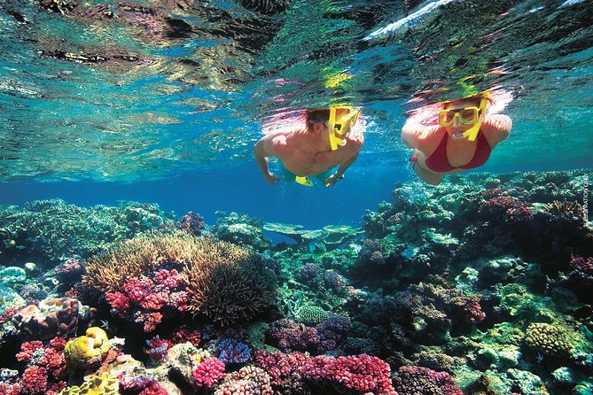 A Day to Komodo Island - Pink Beach: relax time plus a fun color science lesson