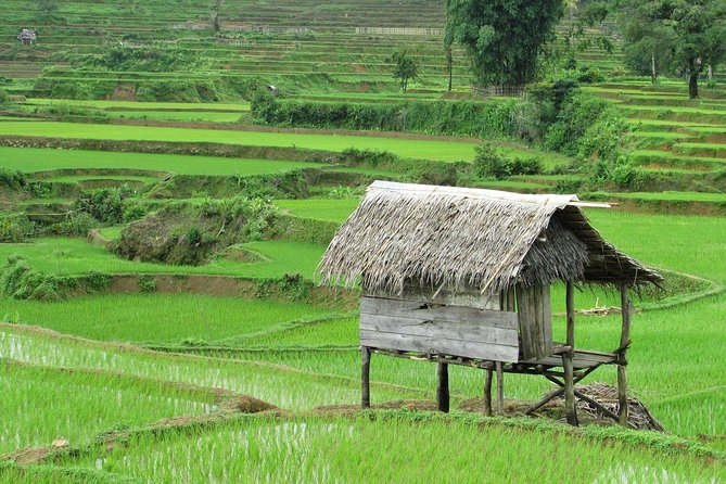 Active Volcano, Rice Field, Hot Spring, Fruit market, Tea Plantation with Lunch - Ciater Hot Springs: sulfur soak and a real end-of-day reset