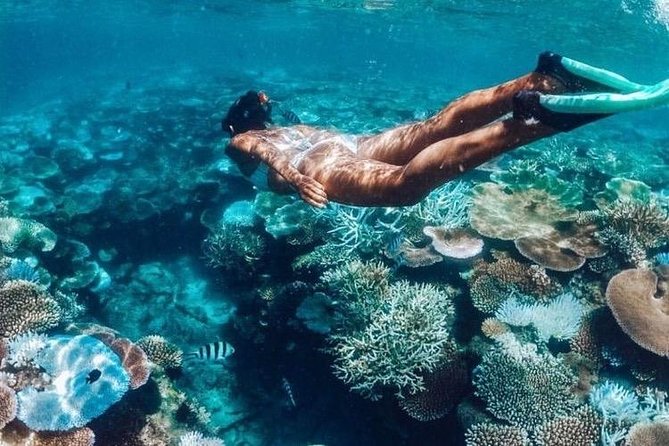 All Inclusive : Bali Blue Lagoon Snorkeling, Lunch, and Transport - Padangbai Blue Lagoon Snorkeling, Where Calm Water Helps